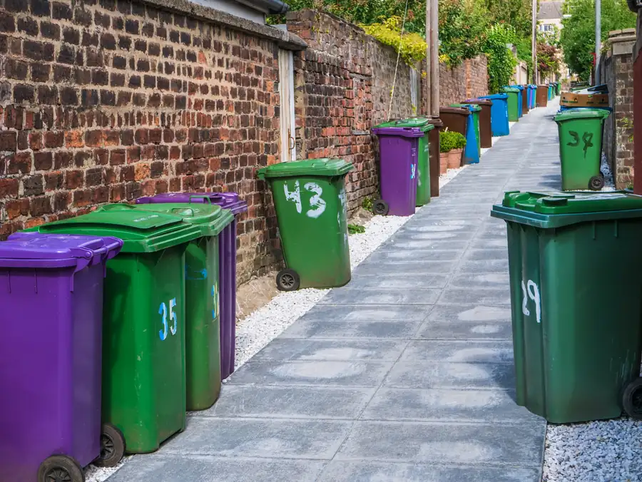 Row of household wheelie bins ready for domestic bin cleaning South West