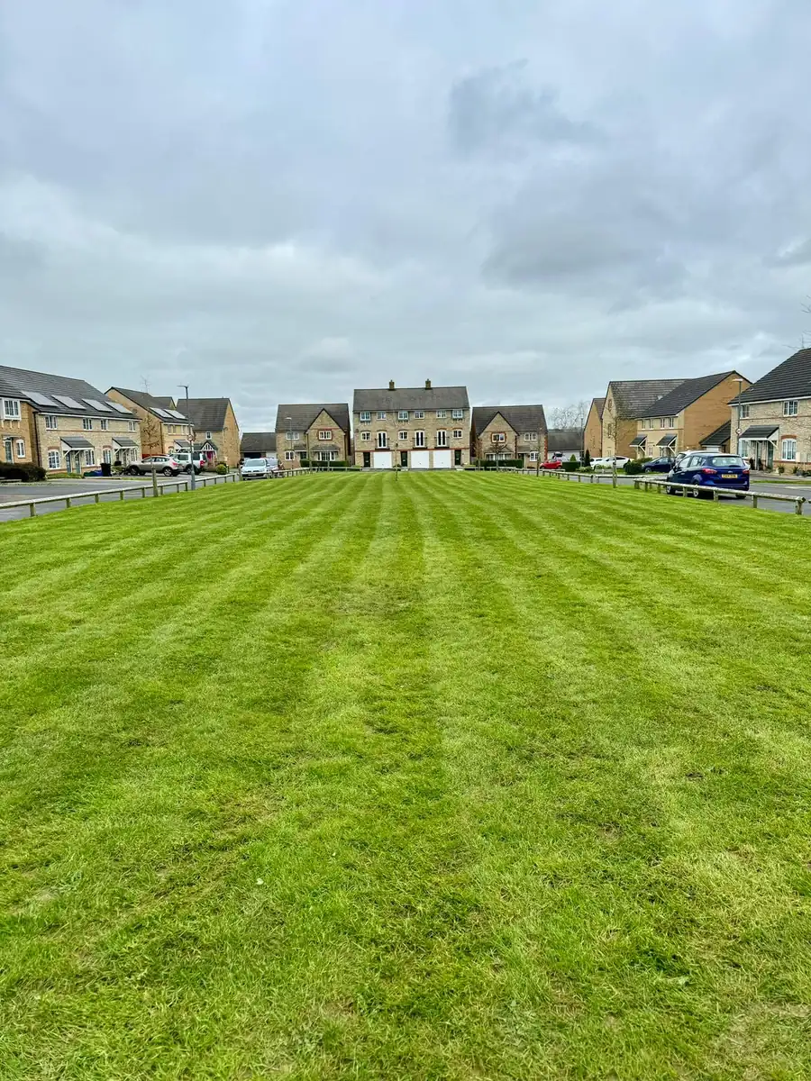 Freshly mown estate lawn South West Bin Cleaning Co grounds maintenance